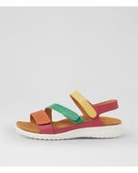 Boyde Xw New Bright Multi Leather